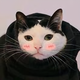 🍙🍙头像