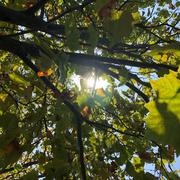 winnie799的个人资料头像