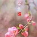 惊蛰在掘金的个人资料头像