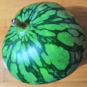 蟠龙有悔的个人资料头像