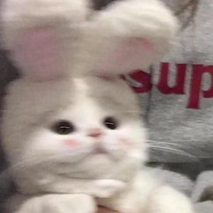 o璐璐睡不醒o头像