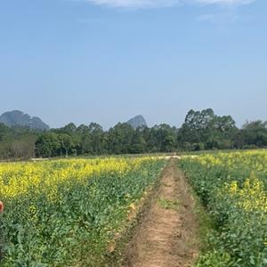 江湖闲钓客头像