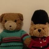 goingbear头像