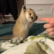 Ed1son的个人资料头像