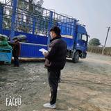 常州夏溪小汪园林绿化头像