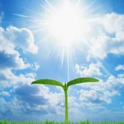 来一份炒面的个人资料头像