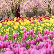 随意50的个人资料头像