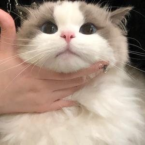 蜗牛追捣蛋儿头像