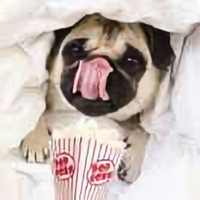 用户4752569552781头像