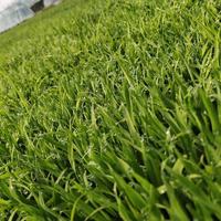 用户6502741271485头像