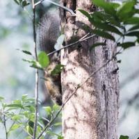 爱生活的圆月cN头像