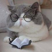 Holy星光的个人资料头像