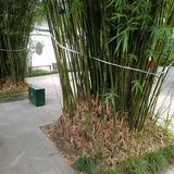 离别悠然见南山头像