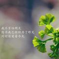 591976头像