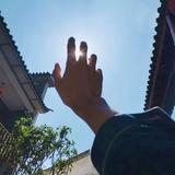 祥瑞朝阳255头像