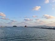 起造伽蓝的个人资料头像