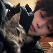 三维鱼的个人资料头像