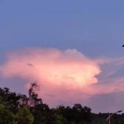 老树171的个人资料头像