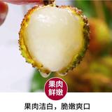 鲜诚农产头像