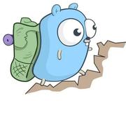 XueWnz的个人资料头像