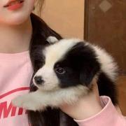 云啊的个人资料头像
