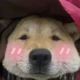 害怕就报紧我头像