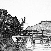 南山楠的个人资料头像