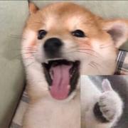 krist的个人资料头像