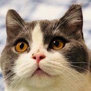 五水的个人资料头像