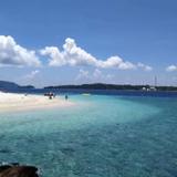 枫枝叶107头像