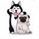 鳖鳖丶的个人资料头像