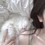 用户6345917460249头像
