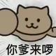 菅原的T头像