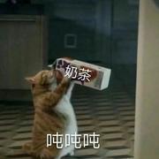 必慎的个人资料头像