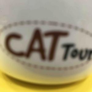 龙猫大叔0头像