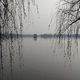 chiyunxiang头像