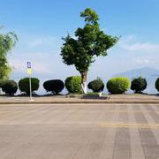 用户2236845122526297675的个人资料头像