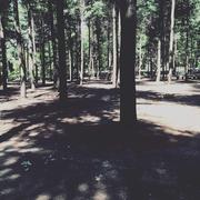 青絲的个人资料头像