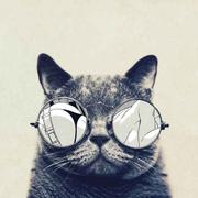 风声水起的个人资料头像