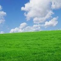 和平鸽旅行头像