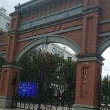 嗨小鱼鱼头像
