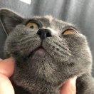 再见孙悟空_的个人资料头像