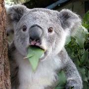 冷水步颜的个人资料头像