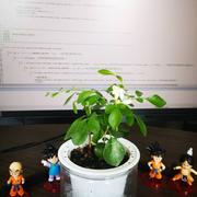 用户61867816955的个人资料头像