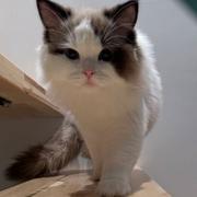 用户1160049077972的个人资料头像