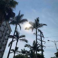 我想买奔头像