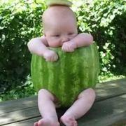 西瓜宝宝的个人资料头像