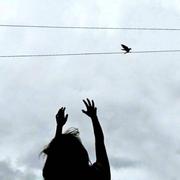 Denominator的个人资料头像