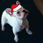 尘埃945的个人资料头像