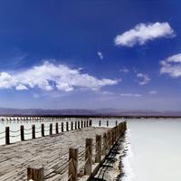 杰森和扬哥头像